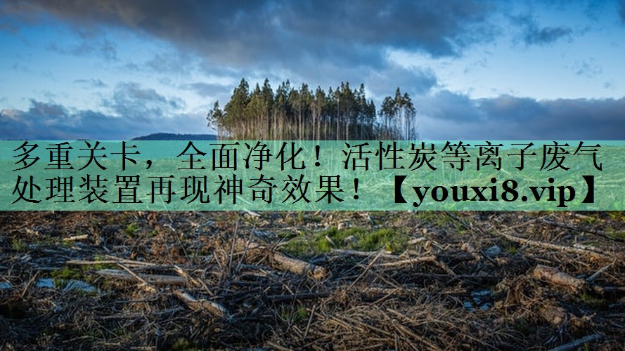 多重关卡，全面净化！活性炭等离子废气处理装置再现神奇效果！