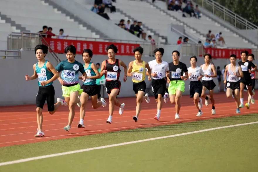 看球网赛事数据分析与前瞻内容服务展示